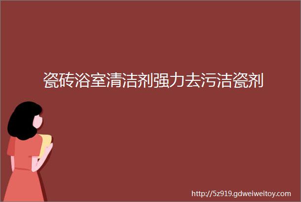 瓷砖浴室清洁剂强力去污洁瓷剂